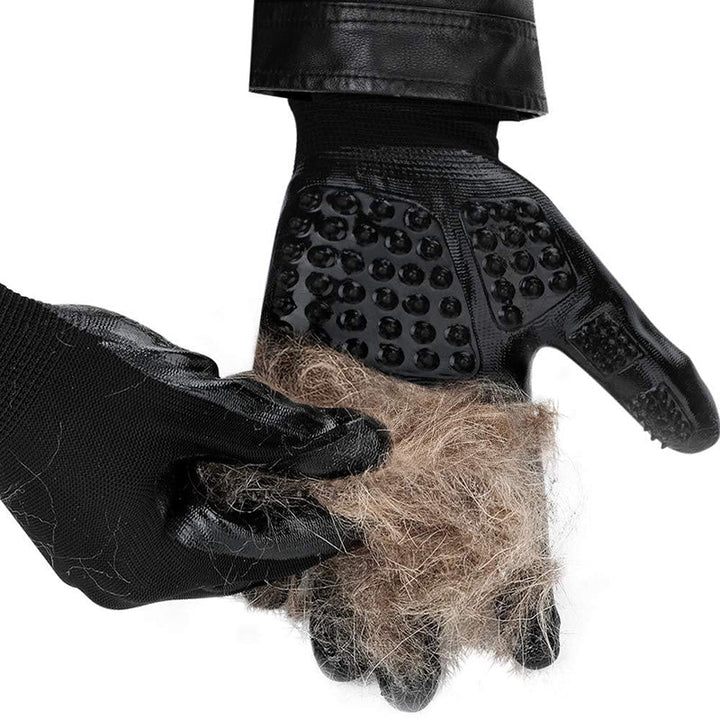 Discover the Magic of Pet Hair Grooming Gloves