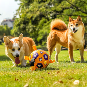 Unleash Joy with the Pet Interactive Football Dog Outdoor Toy