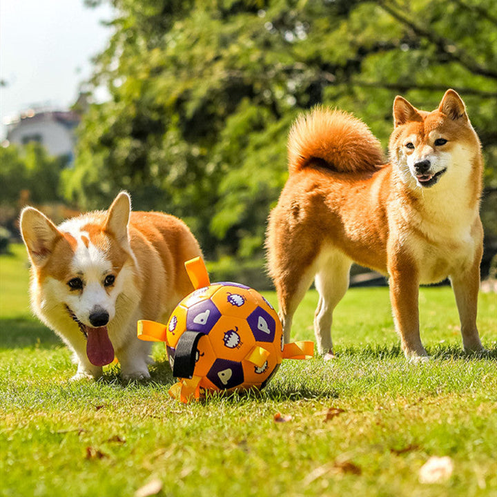 Unleash Joy with the Pet Interactive Football Dog Outdoor Toy