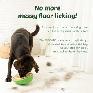 Enhance Your Pet's Dining Experience with the Anti-tumble Avocado Pet Feeding Bowl
