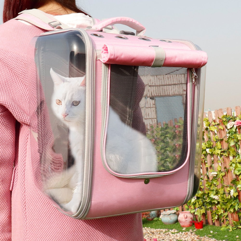 The Perfect Companion for Your Feline Friend: Go Out Portable Backpack Cat Bag