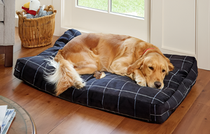 Creating the Perfect Pet Sleep Space