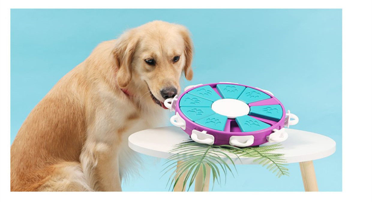 Dog Puzzle Toys Increase IQ