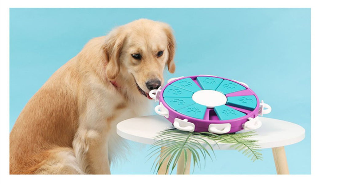 Dog Puzzle Toys Increase IQ