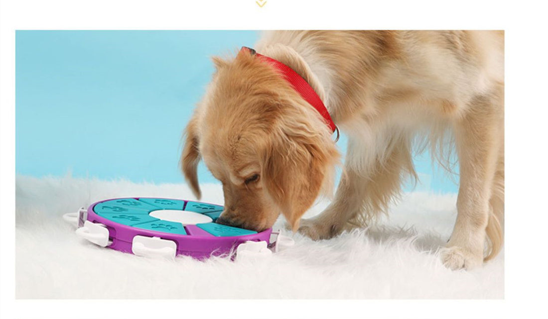 Dog Puzzle Toys Increase IQ