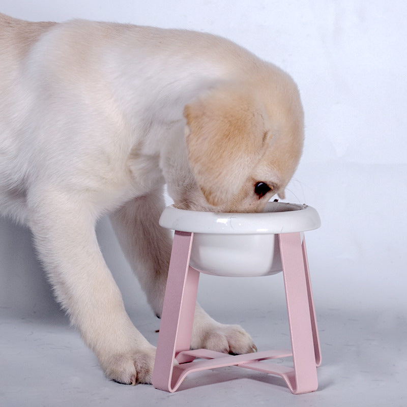 Creative Antislip Cat Feeding Bowl