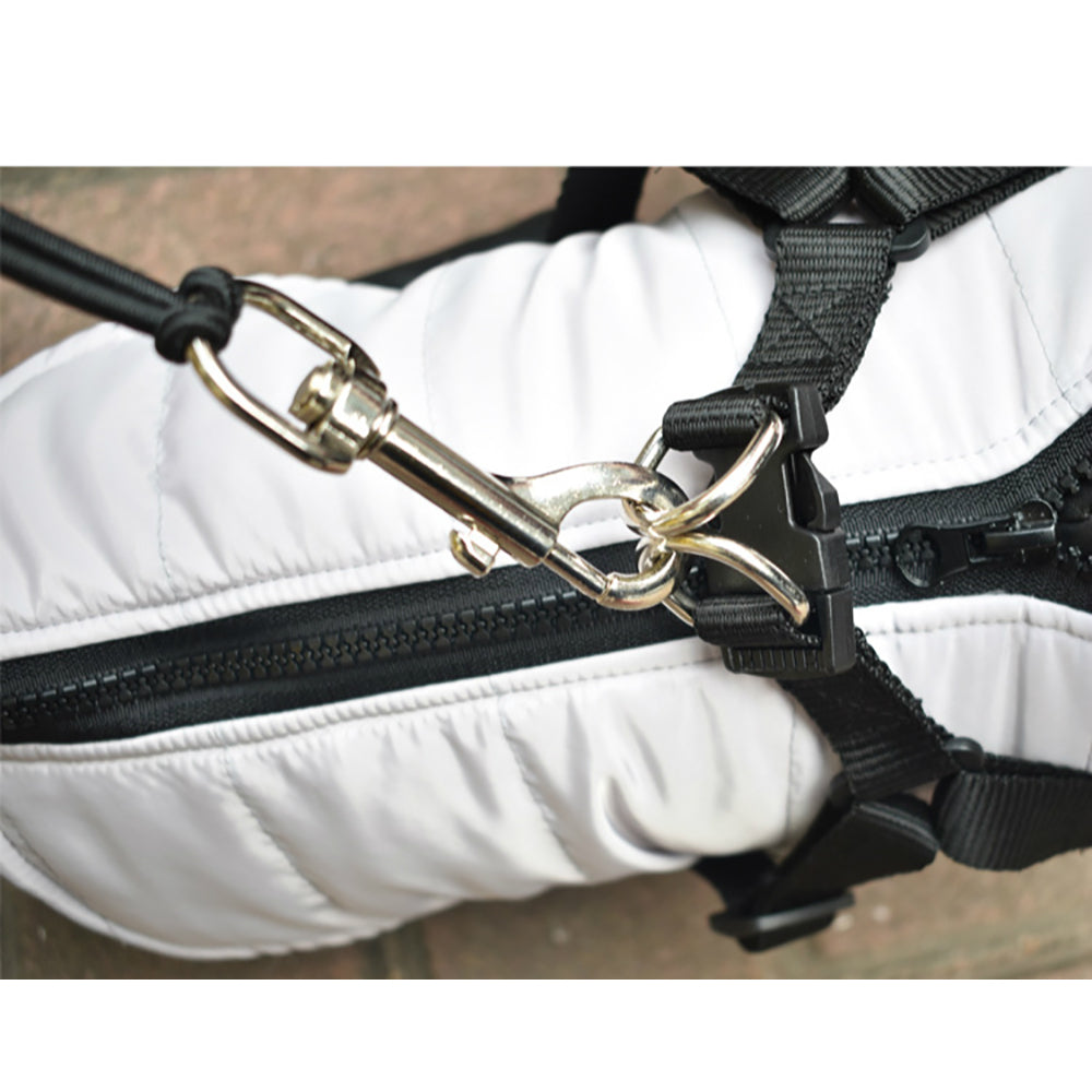 Stainless Steel Bike Leash for Pet