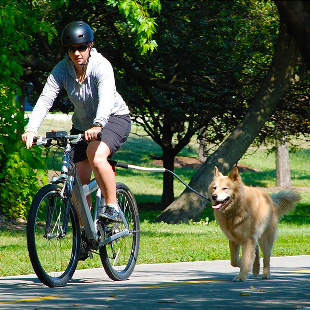 Stainless Steel Bike Leash for Pet