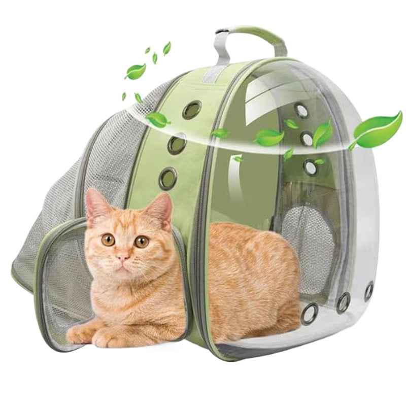 Rear Expandable Transparent Backpack