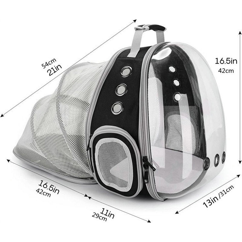 Rear Expandable Transparent Backpack