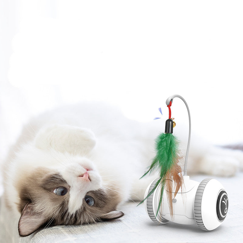 Interactive Cat Toy With Interchangeable Heads