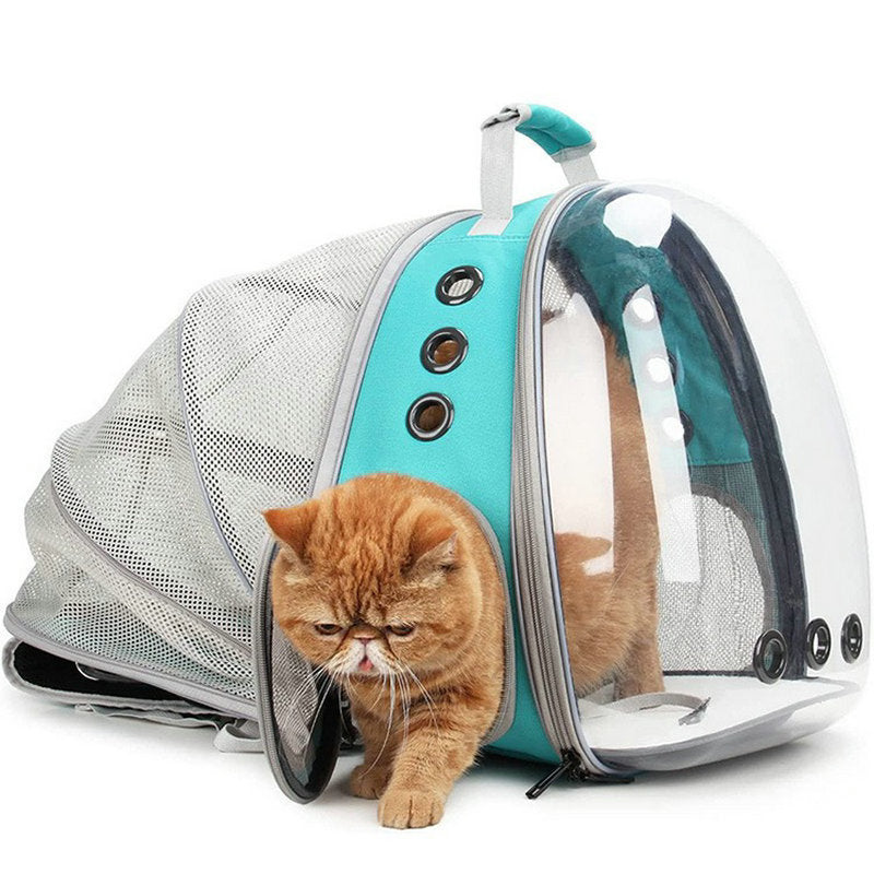 Rear Expandable Transparent Backpack