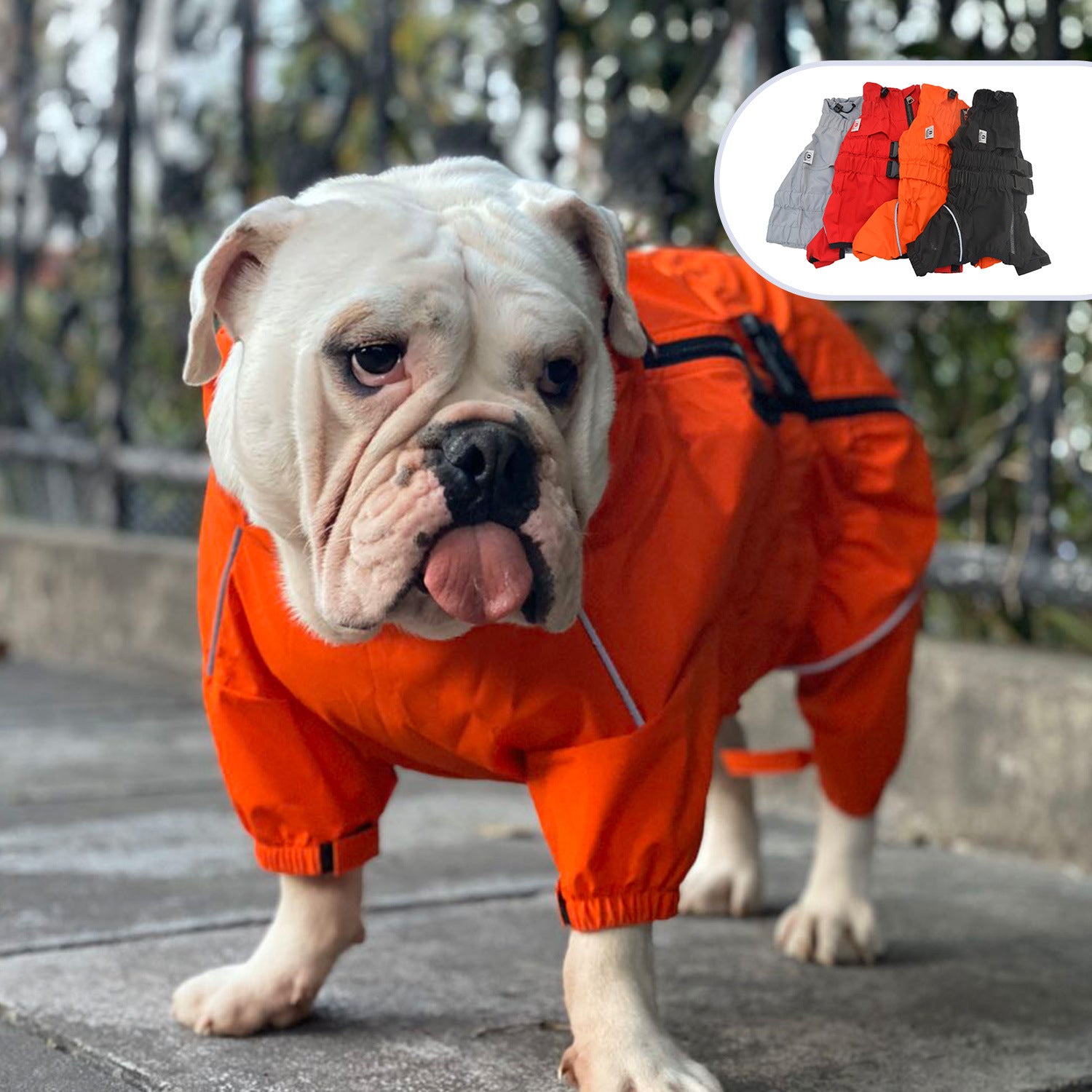 Pet Four-legged Clothing Raincoat