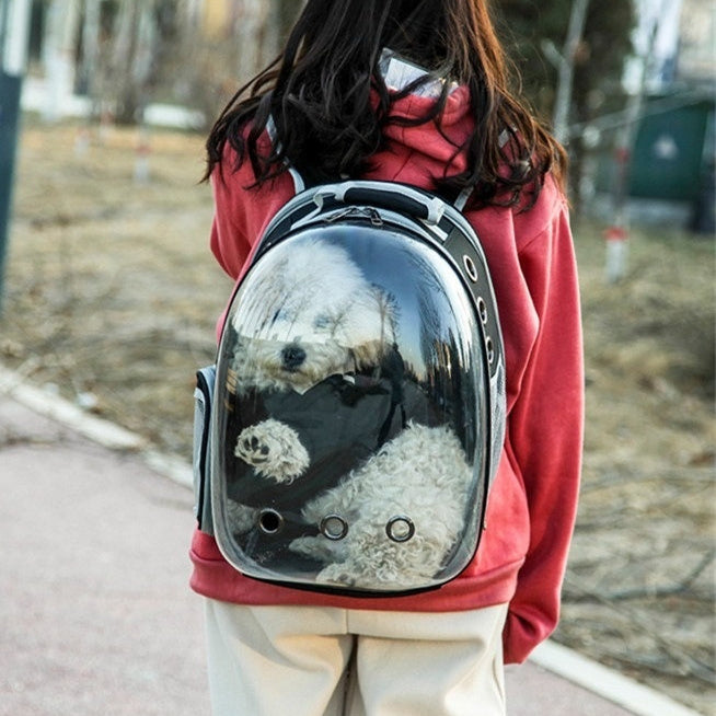 Rear Expandable Transparent Backpack