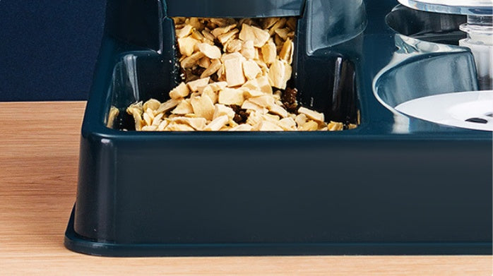 Pet Automatic Feeding Device