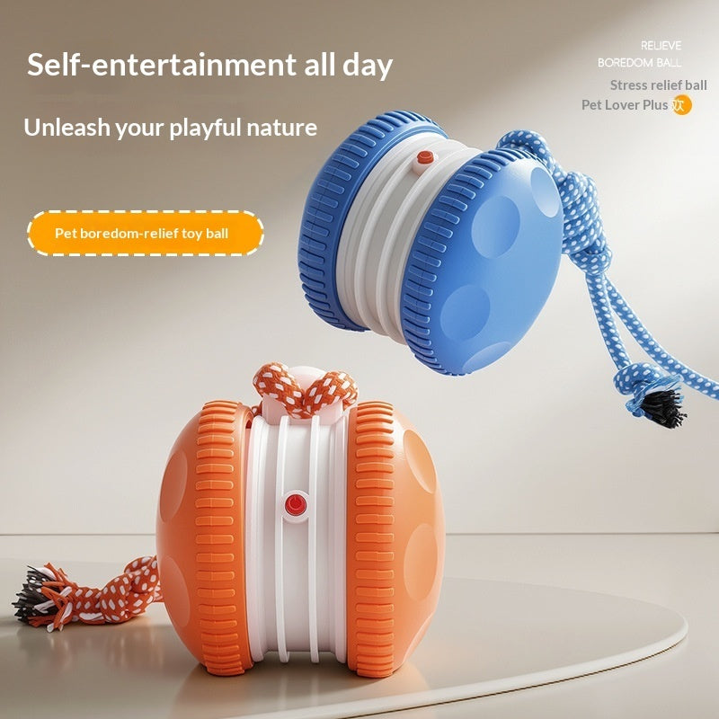Pet Plastic Toy Rechargeable Rolling Ball