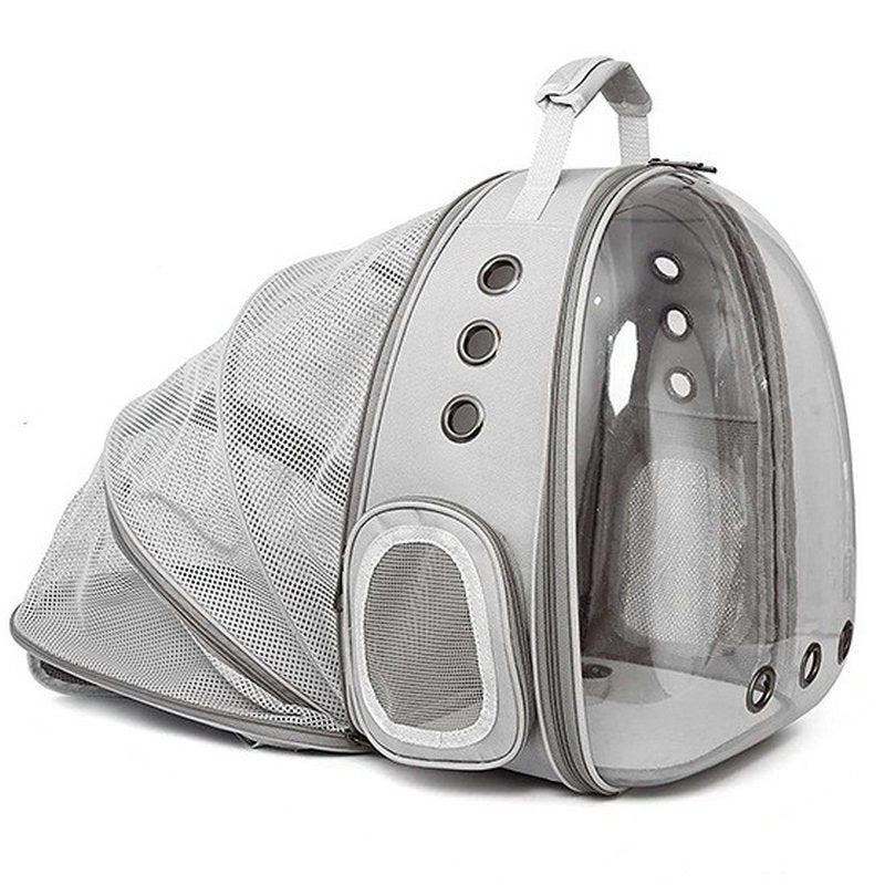 Rear Expandable Transparent Backpack