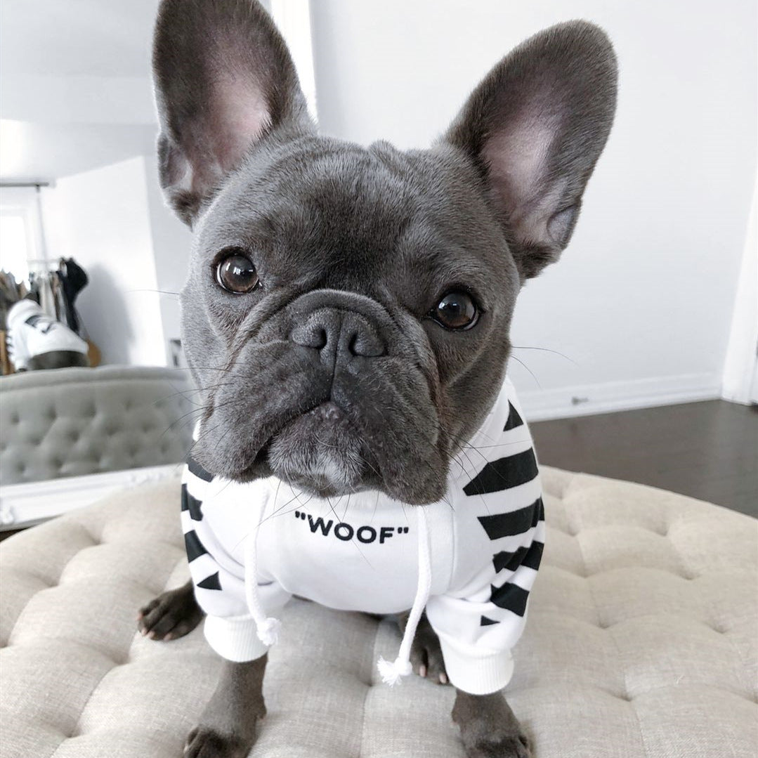 autumn and winter sports dog clothes