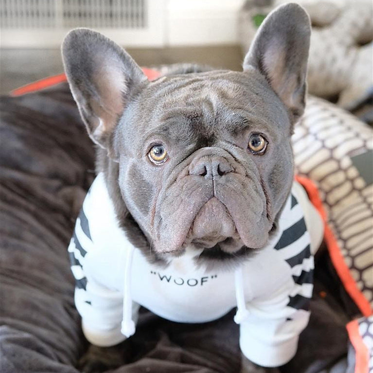 autumn and winter sports dog clothes