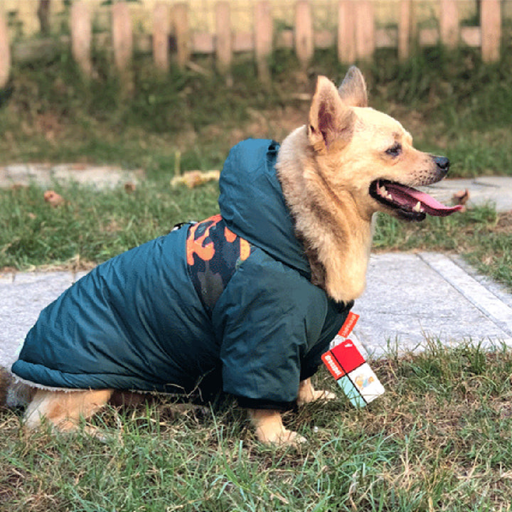 Pet Warm Coat Traction Rope Clothes
