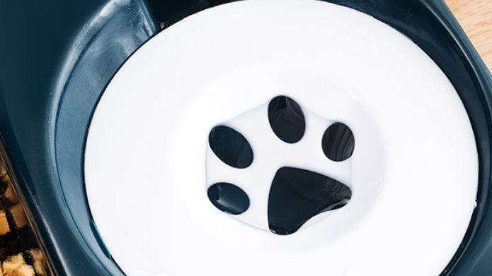 Pet Automatic Feeding Device