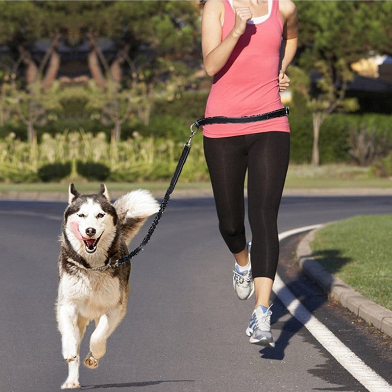 Jogging Adjustable Pet Leash