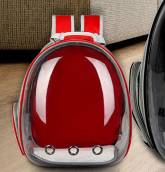 Rear Expandable Transparent Backpack