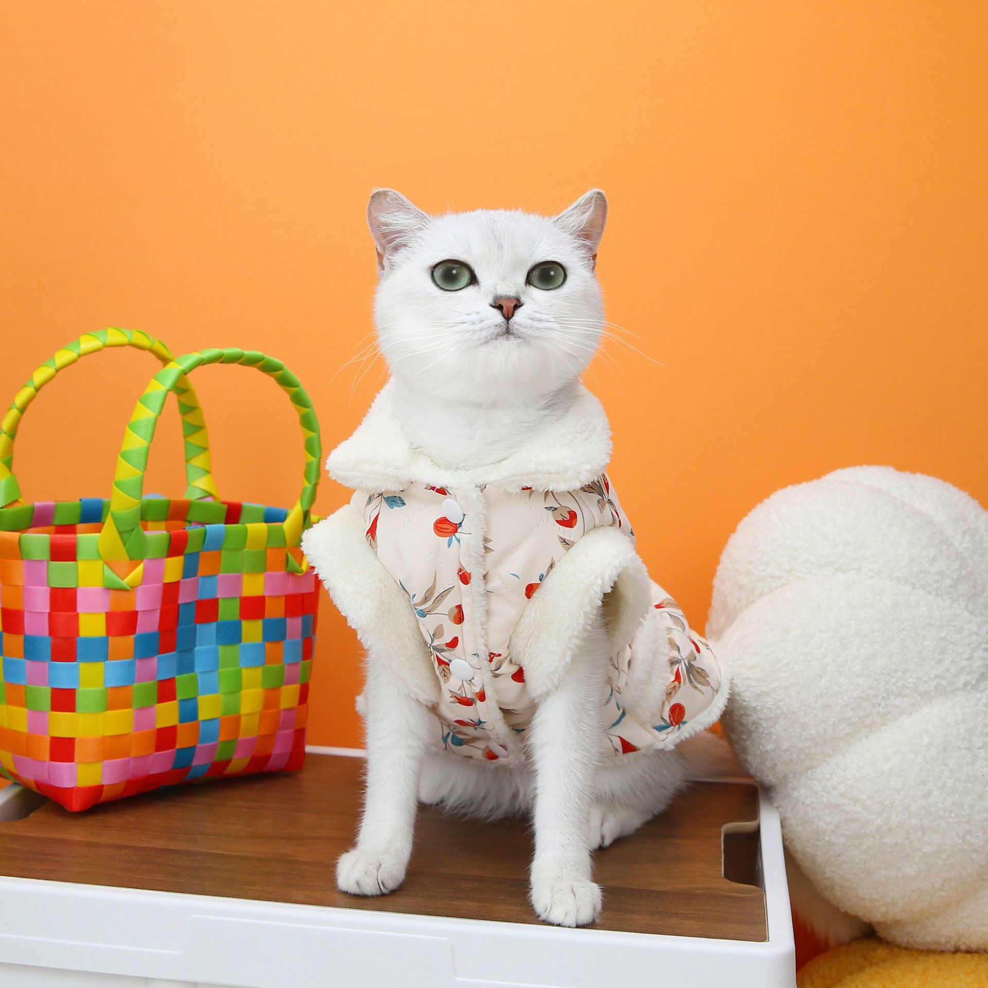 Autumn And Winter Cat Clothing