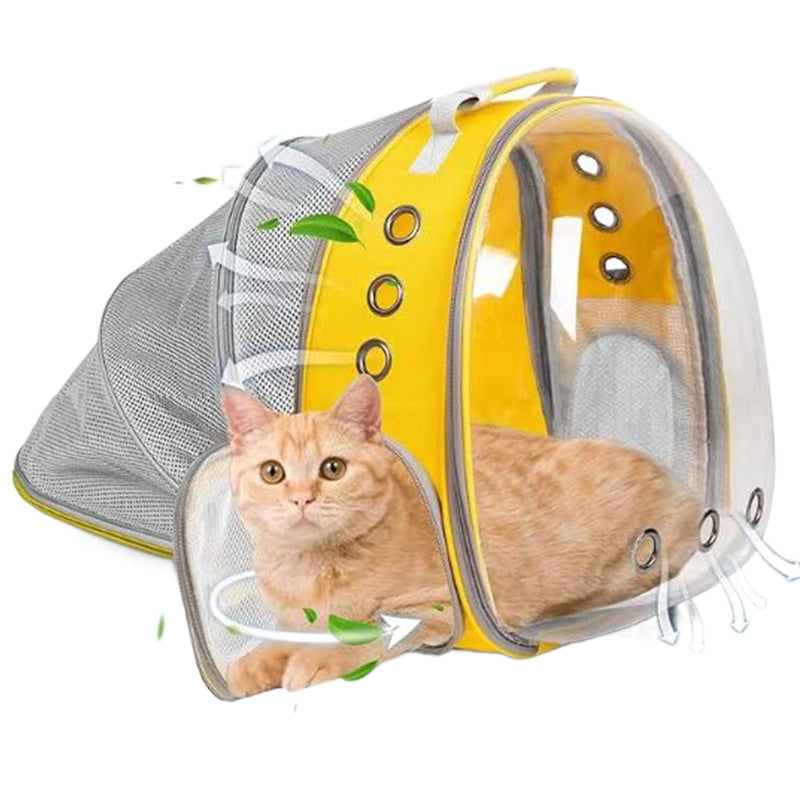 Rear Expandable Transparent Backpack
