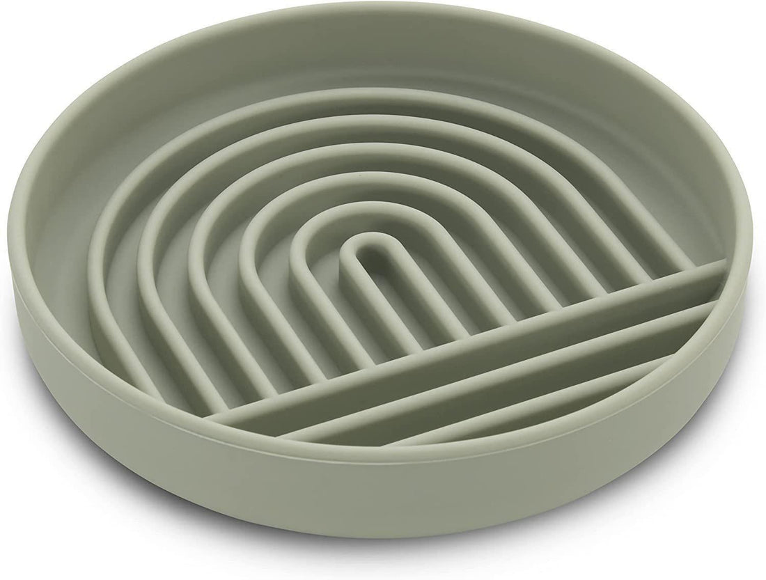 Cat And Dog Simple Slow Feeding Bowl