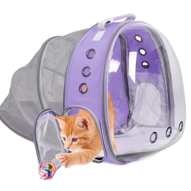 Rear Expandable Transparent Backpack