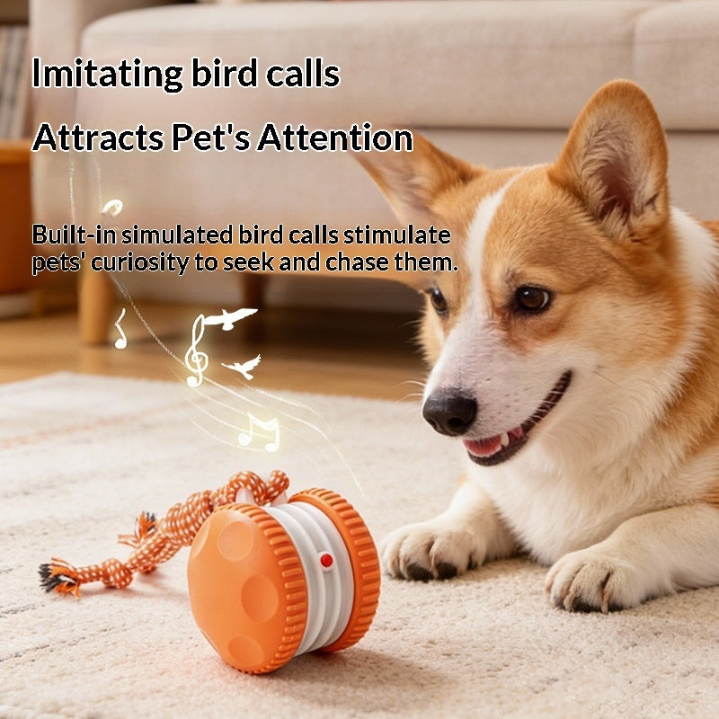 Pet Plastic Toy Rechargeable Rolling Ball
