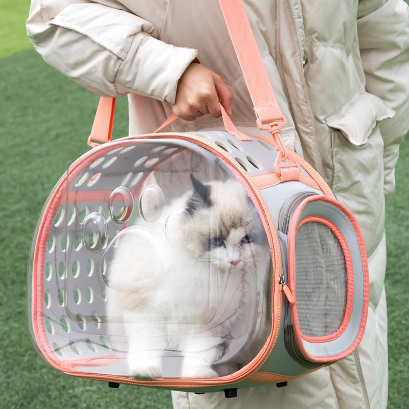 Transparent Bag Space Capsule Backpack
