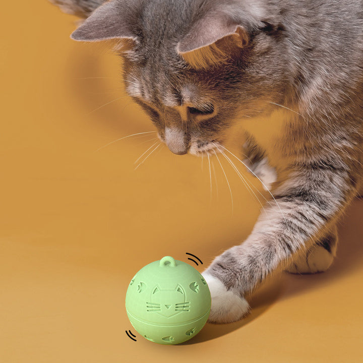 Silicone Bite Resistant Automatic Cat Teaser