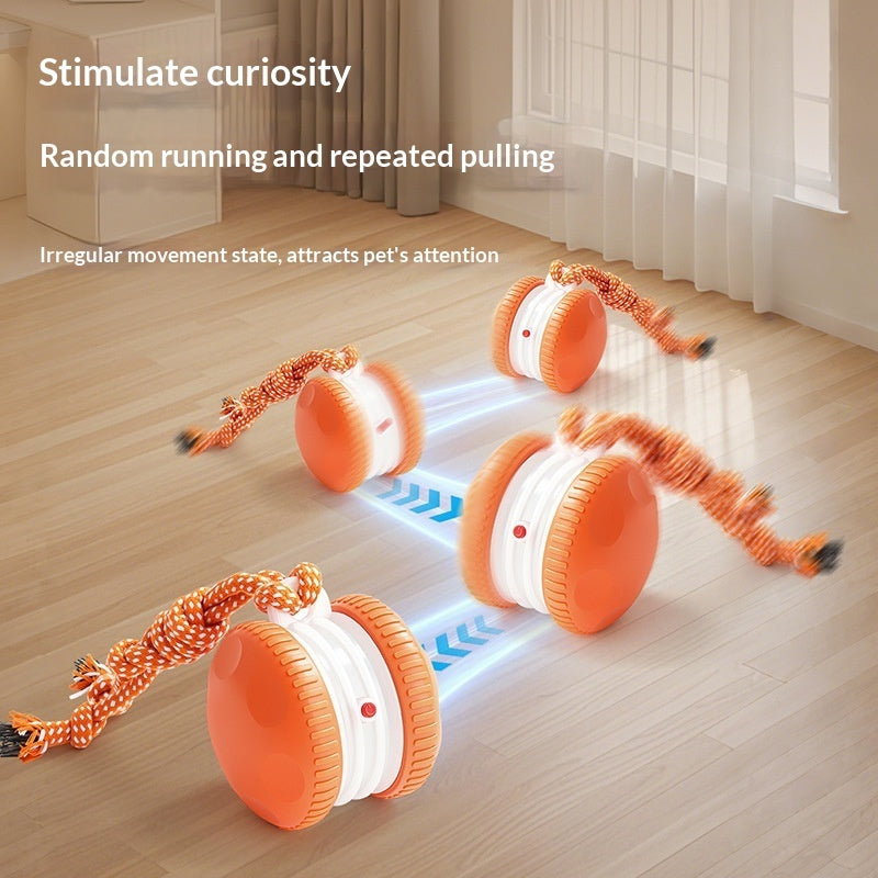 Pet Plastic Toy Rechargeable Rolling Ball