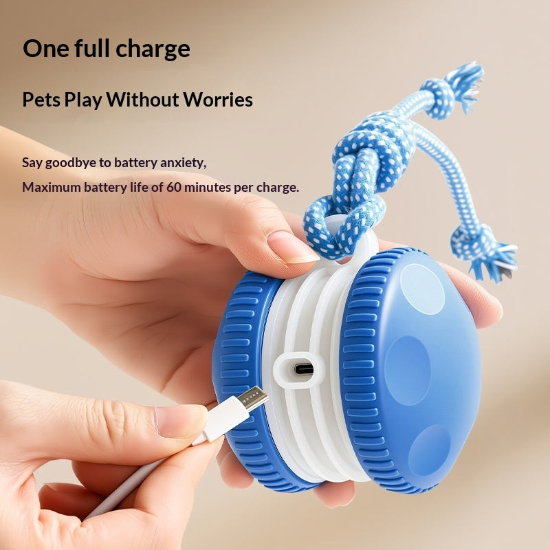 Pet Plastic Toy Rechargeable Rolling Ball