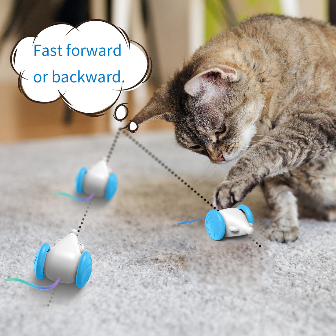 Interactive Toy For Cats Simulation Mouse Toy