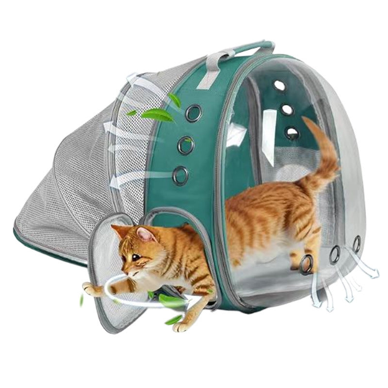Rear Expandable Transparent Backpack