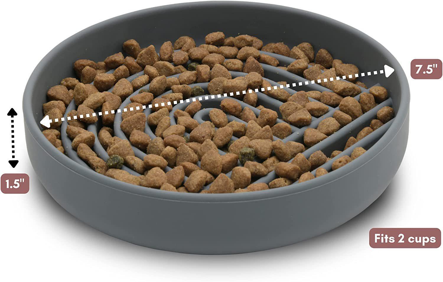 Cat And Dog Simple Slow Feeding Bowl