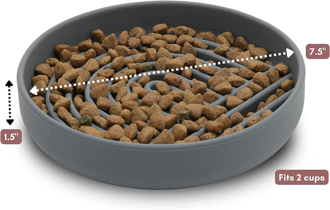 Cat And Dog Simple Slow Feeding Bowl
